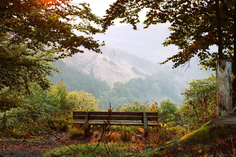 Wald und Kultur