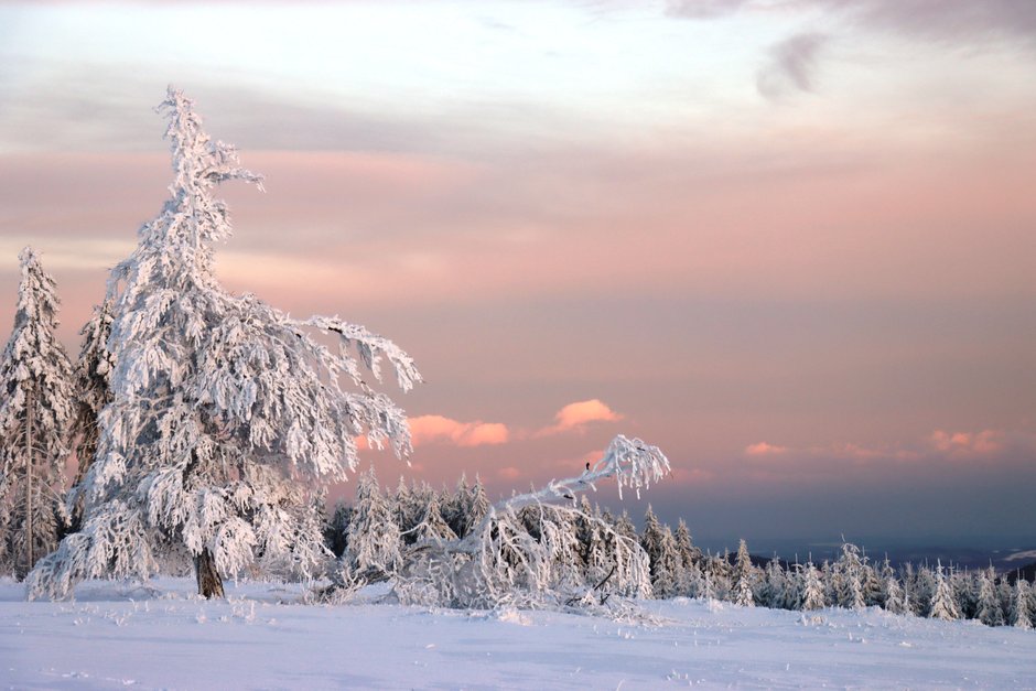 Natur und Kultur